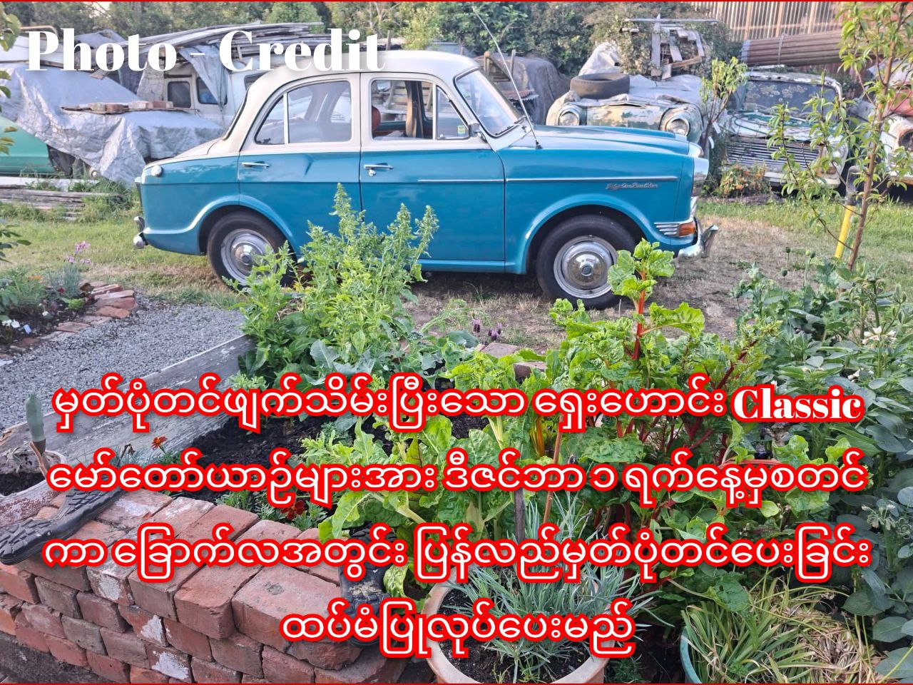 photo_2025-11-29_11-04-42