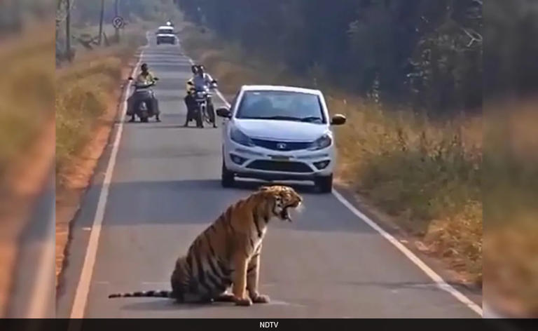 photo_2025-11-29_15-56-00