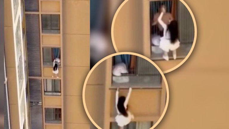 IMG_20251211_115555_707