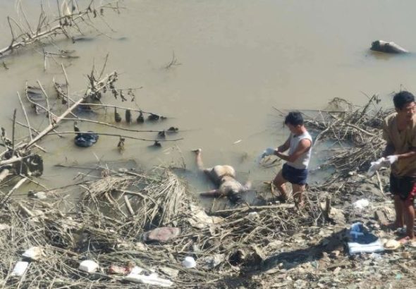 IMG_20251213_161311_403