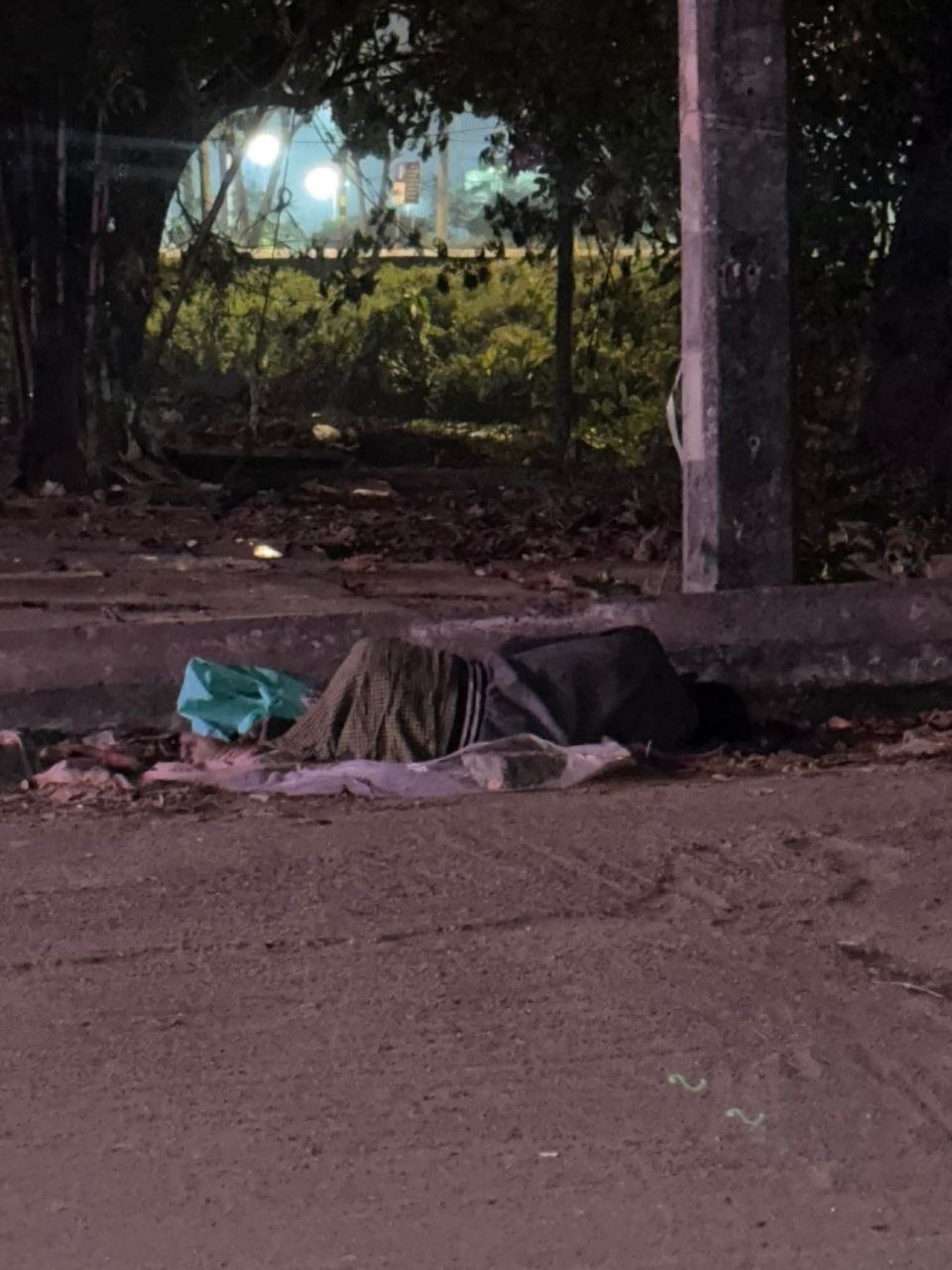 IMG_20251224_153107_326