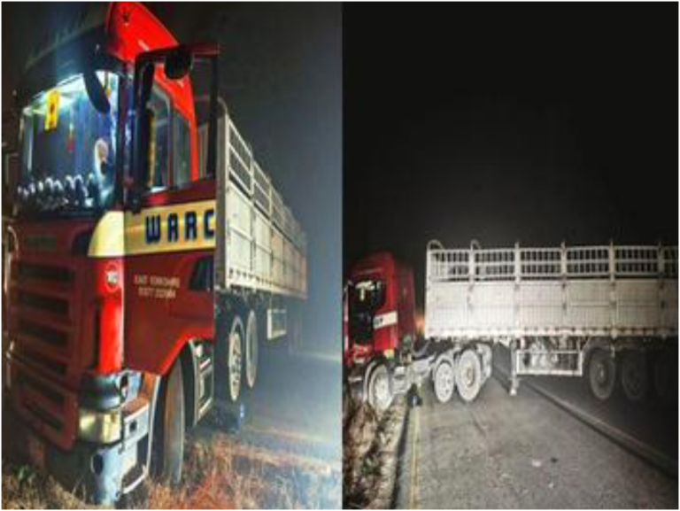 Screenshot_2026-01-15-23-50-33-066_com.android.chrome