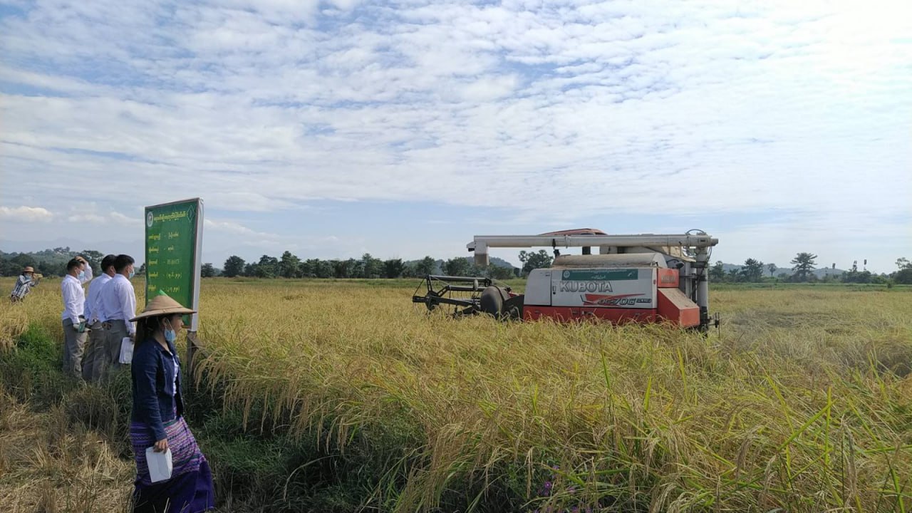 photo_2026-01-08_11-17-36 (2)