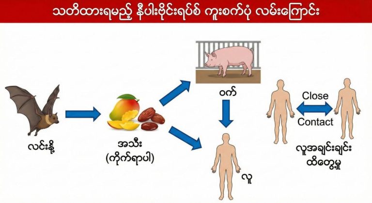 photo_2026-01-27_14-46-04