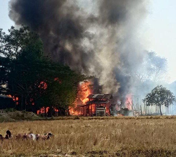 photo_2026-01-28_15-44-32