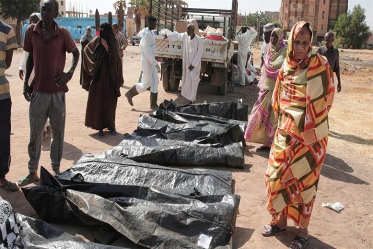 41_2026-639060659499095939-909