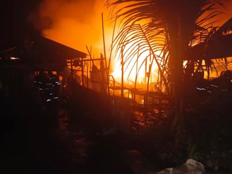 photo_2026-02-03_13-55-58