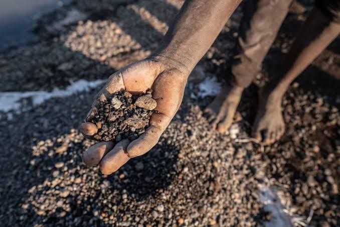 photo_2026-02-06_13-12-28