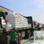 photo_2026-02-11_11-36-00