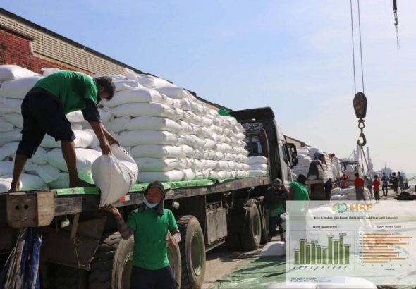 photo_2026-02-11_11-36-00