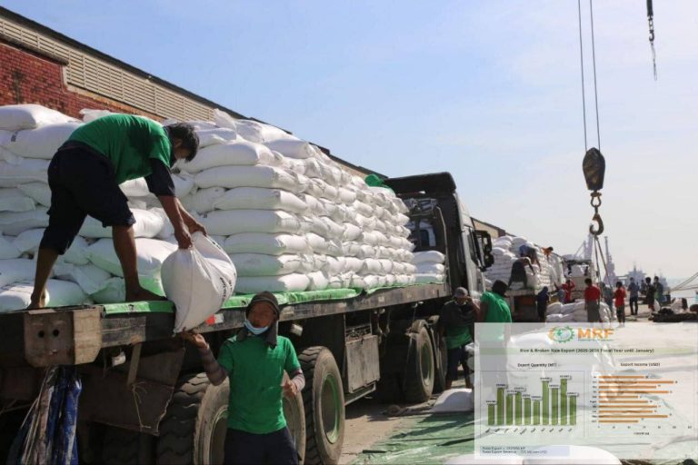 photo_2026-02-11_11-36-00