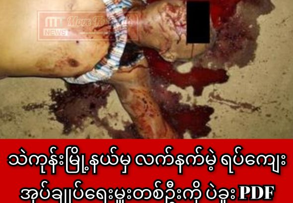 InCollage_20260310_212836433