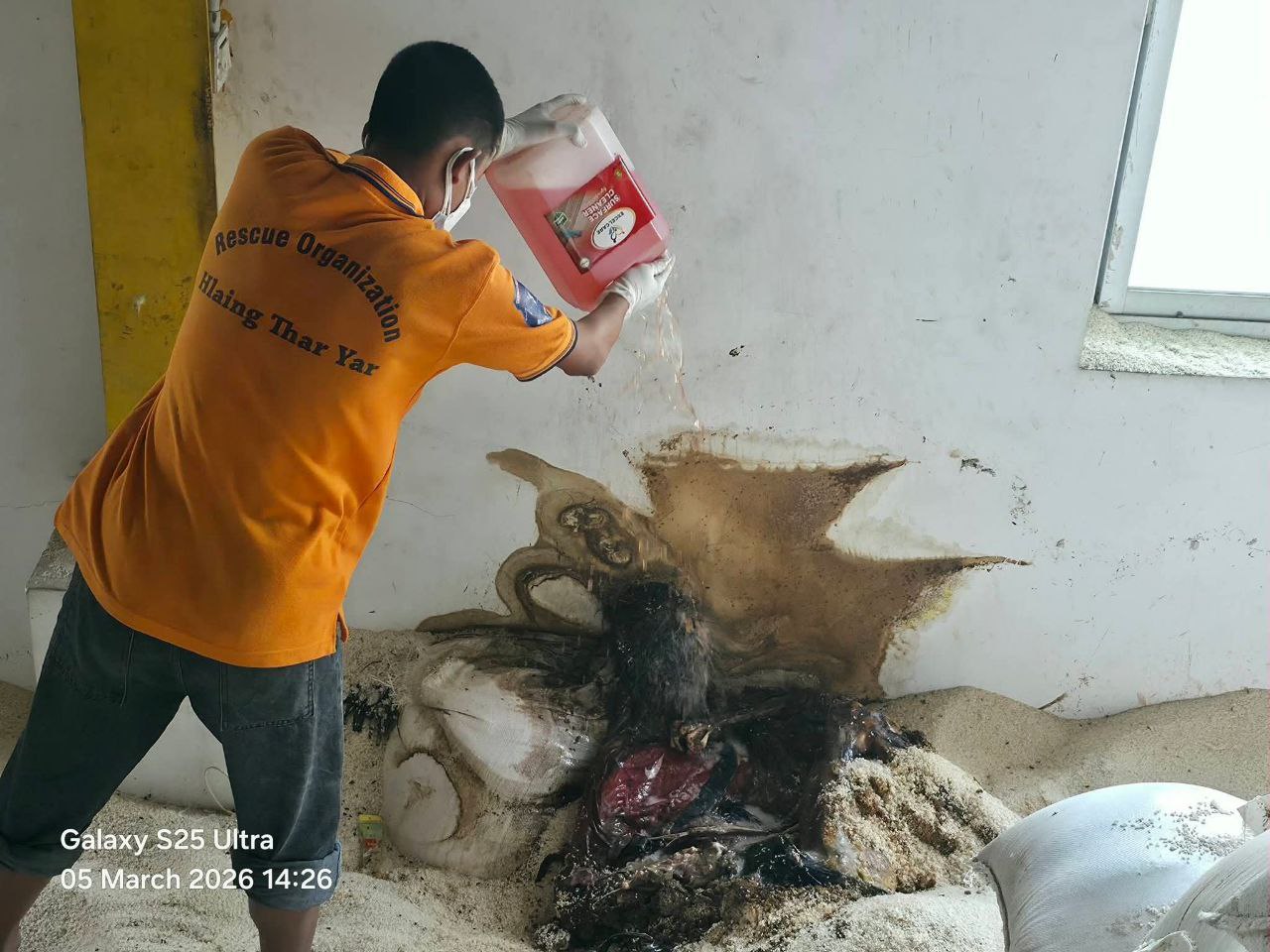 photo_2026-03-07_13-24-23