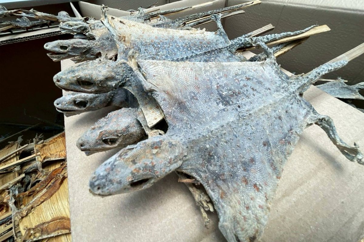 photo_2026-03-07_14-59-04