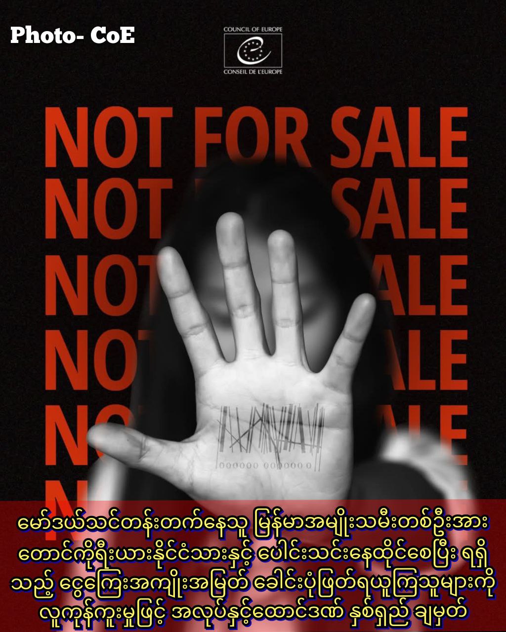 photo_2026-03-17_12-41-44