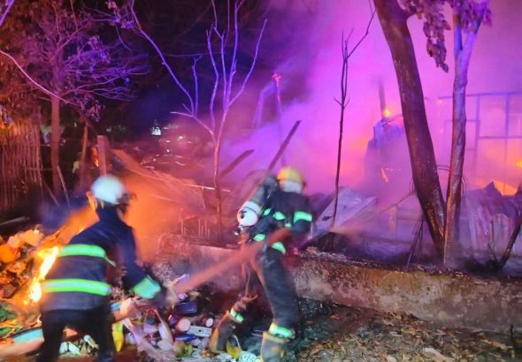 photo_2026-03-24_11-52-29