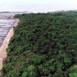 photo_2026-03-24_11-53-27