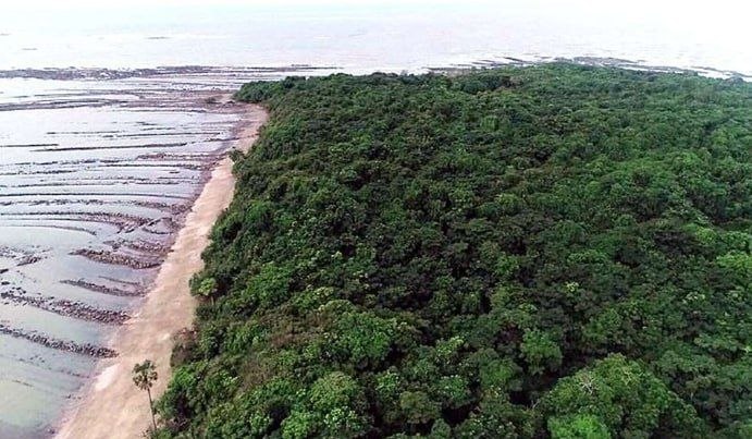 photo_2026-03-24_11-53-27