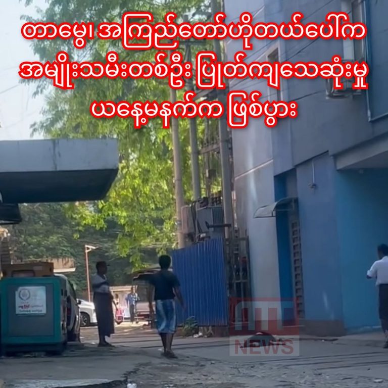 photo_2026-03-26_13-04-26