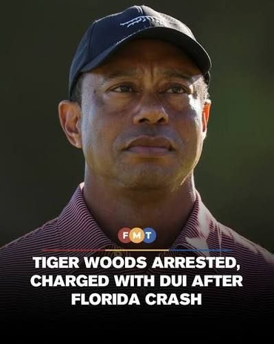 photo_2026-03-28_10-00-14