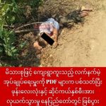 photo_2026-03-28_13-03-12