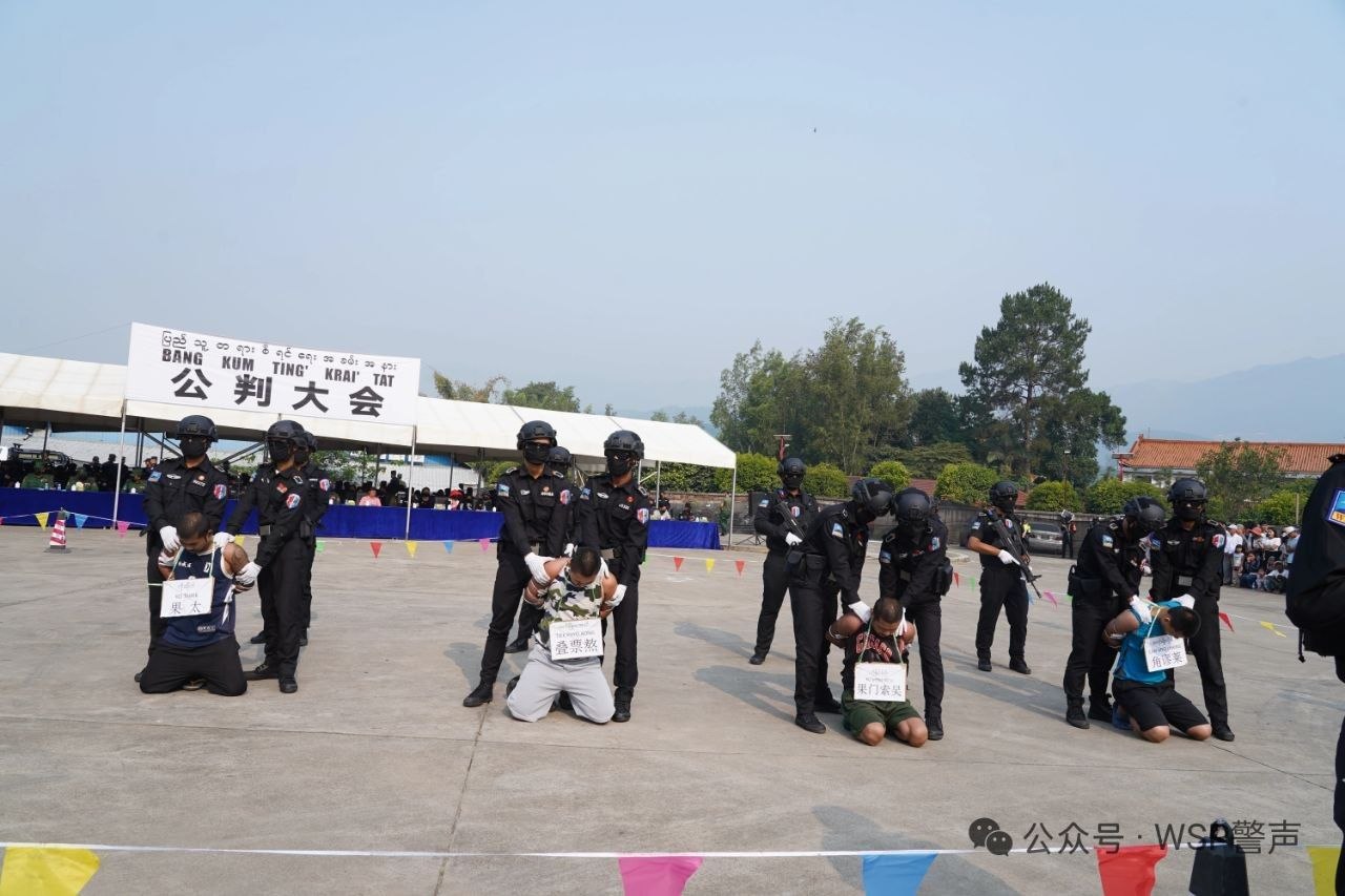 photo_2026-03-30_14-48-18