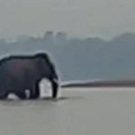 photo_2026-03-31_15-30-05