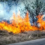 sfdcGSpS43eCyDqnNwfn