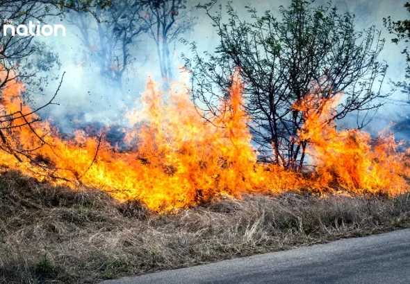 sfdcGSpS43eCyDqnNwfn