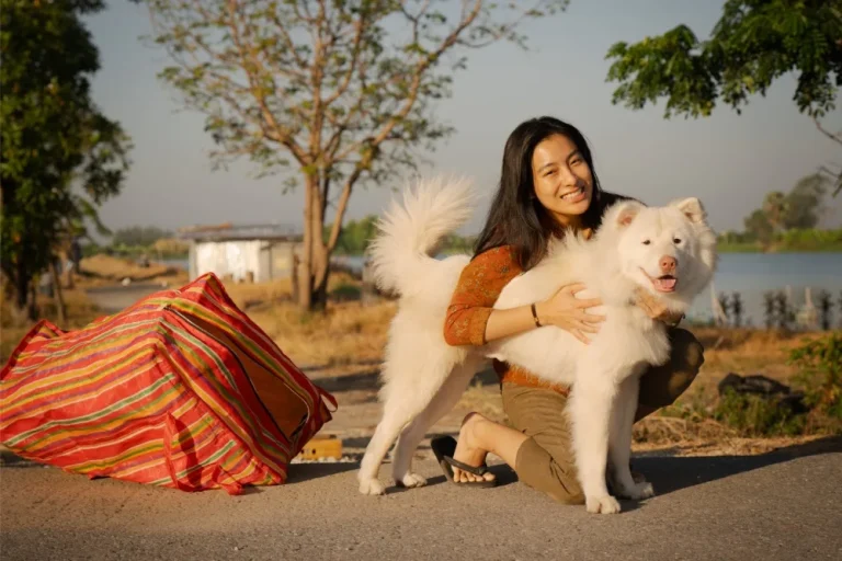 14163154d2dbc3f8441cb2d63acbaaec