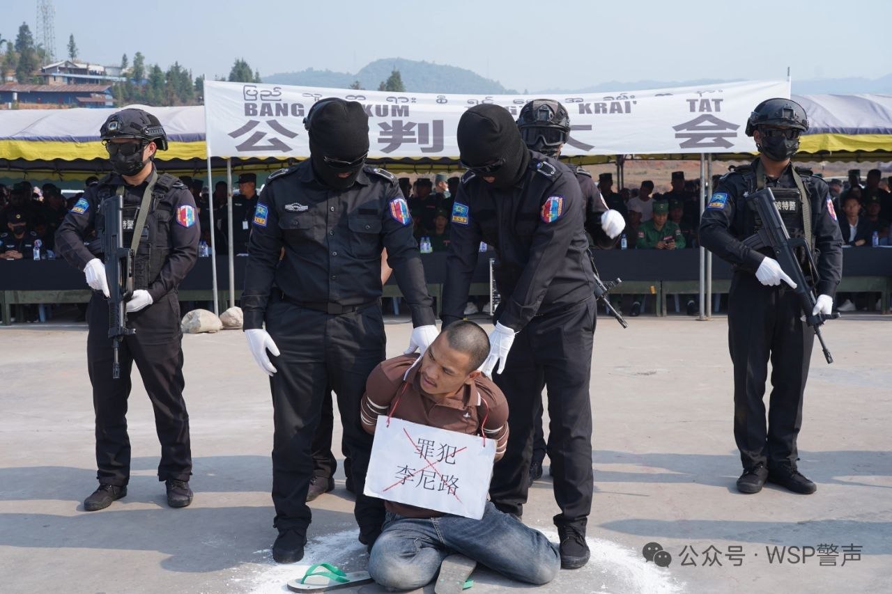 photo_2026-04-02_15-43-38