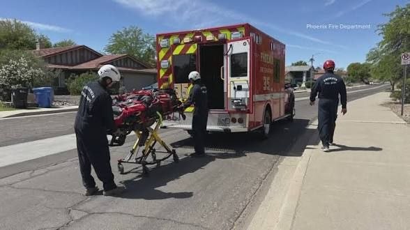 photo_2026-04-06_14-26-28