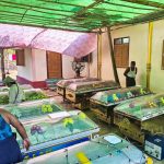 photo_2026-04-20_13-12-00