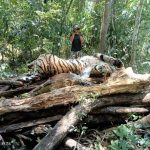 photo_2026-04-21_15-49-38