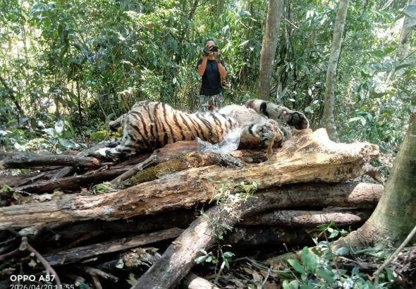 photo_2026-04-21_15-49-38