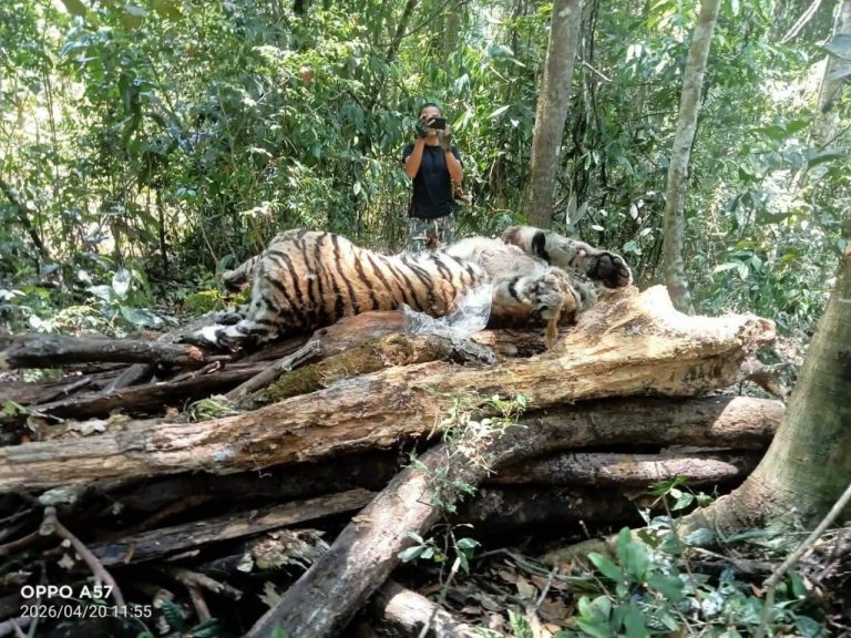 photo_2026-04-21_15-49-38