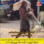 photo_2026-04-28_16-43-14