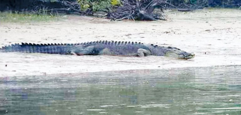 photo_2026-04-29_09-56-55