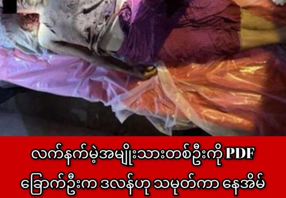 photo_2026-04-29_16-23-24